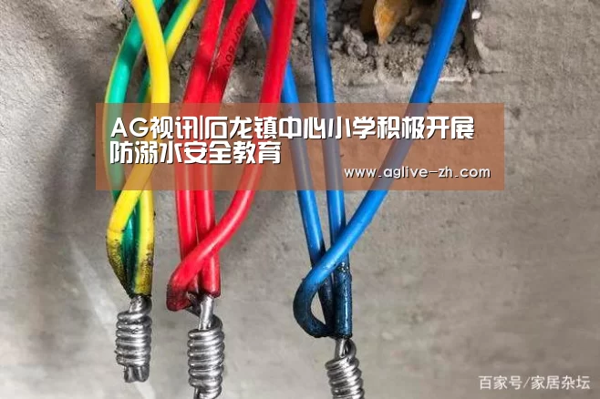 AG视讯|石龙镇中心小学积极开展防溺水安全教育(图4) AG视讯