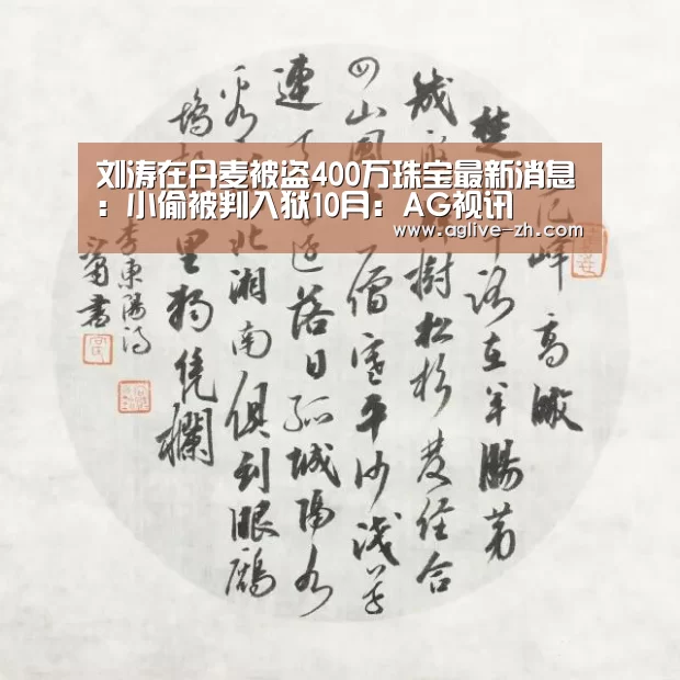 刘涛在丹麦被盗400万珠宝最新消息:小偷被判入狱10月:AG视讯(图3) AG地址
