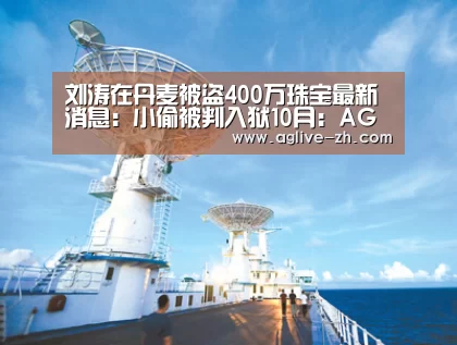 刘涛在丹麦被盗400万珠宝最新消息:小偷被判入狱10月:AG视讯(图2) AG地址