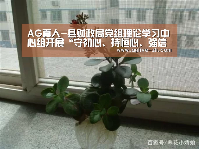 AG真人-县财政局党组理论学习中心组开展“守初心、持恒心、强信心”专题研讨会(图4) AG地址