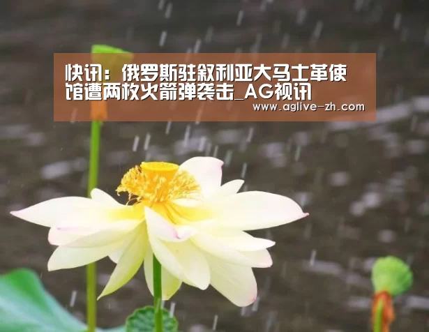 快讯:俄罗斯驻叙利亚大马士革使馆遭两枚火箭弹袭击_AG视讯(图1) AG视讯