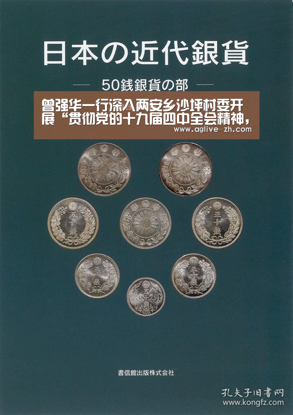 曾强华一行深入两安乡沙坪村委开展“贯彻党的十九届四中全会精神,服务基层送温暖”走访慰问活动_AG地址(图1) AG真人