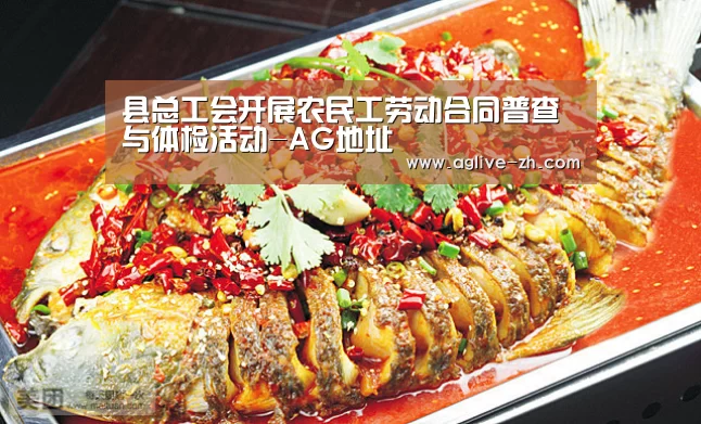 县总工会开展农民工劳动合同普查与体检活动-AG地址(图3) AG地址